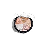 Хайлайтер для лица TNL Perfect Shine, 6.5 г