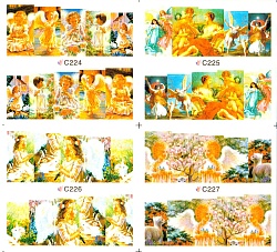 Слайдер-дизайн средний лист TNL C224-227