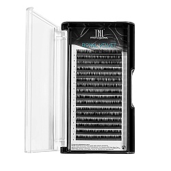 Матовые ресницы на ленте TNL Royal Velvet 0.12, изгиб C+, 9 мм, 16 линий