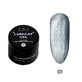 Гель для наращивания Lumicat gel, жесткий, кошачий глаз, TNL Professional, 15 мл