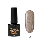 Гель-лак Caramel Cat корейская кошка, TNL Professional, 6 мл